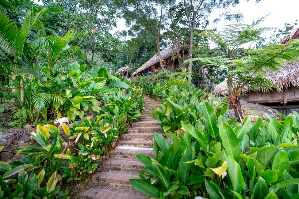 Ecolodge Photo by Quang Nguyen Vinh: https://www.pexels.com/photo/stairs-to-hut-among-lush-greenery-6129997/